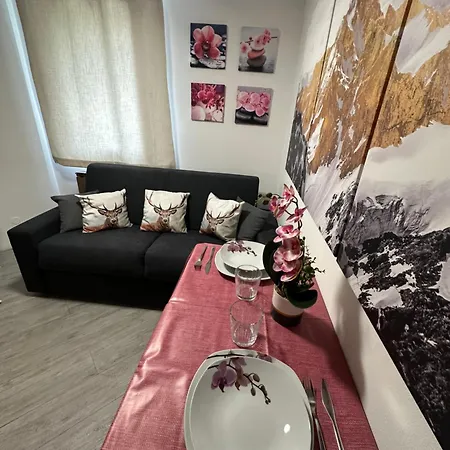 Orchidea